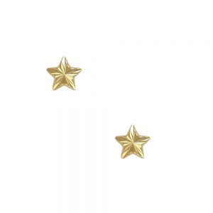 14KT yellow gold star earrings