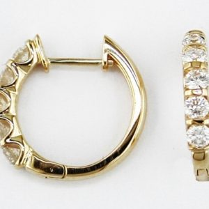 DIAMOND HOOPS