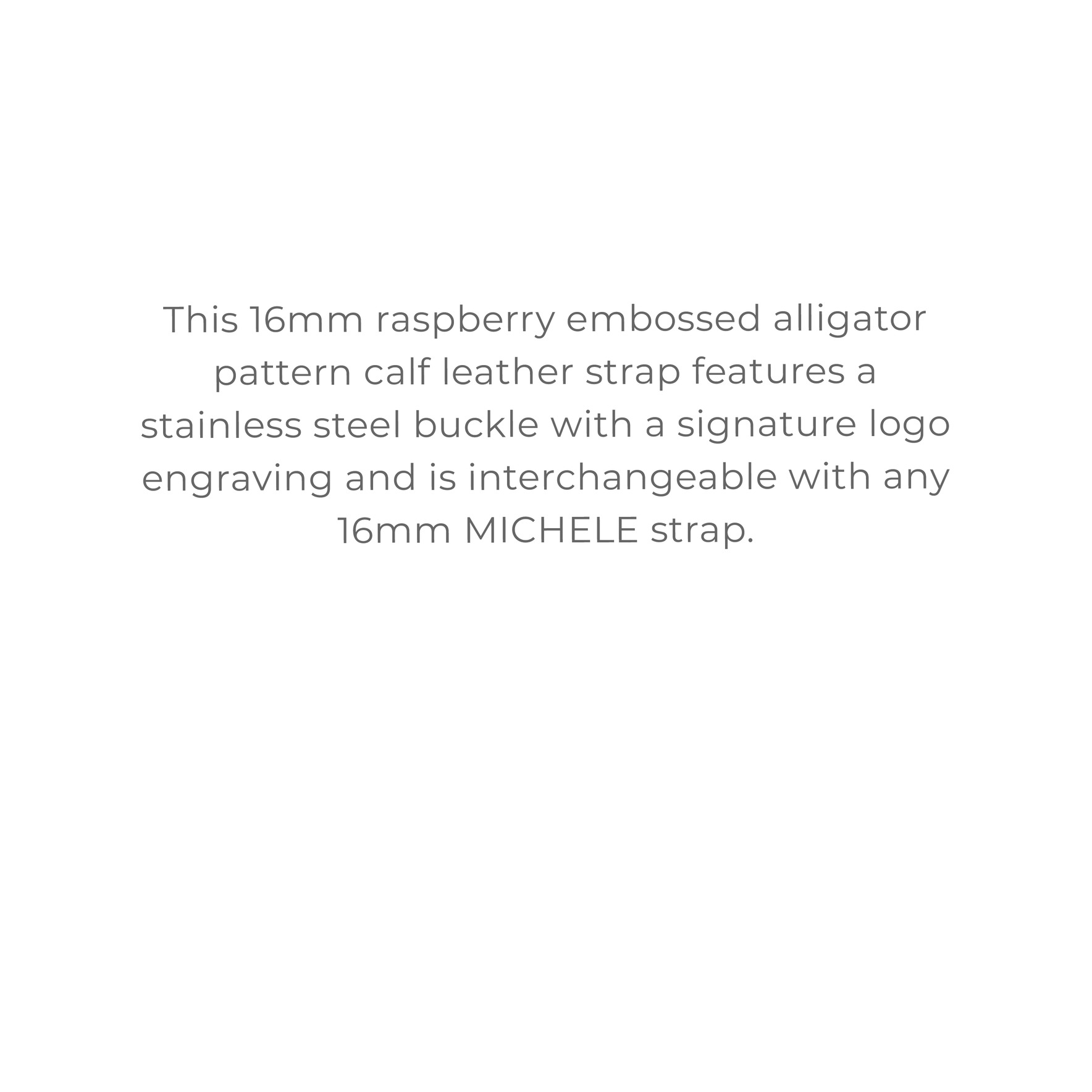 MICHELE STRAPS