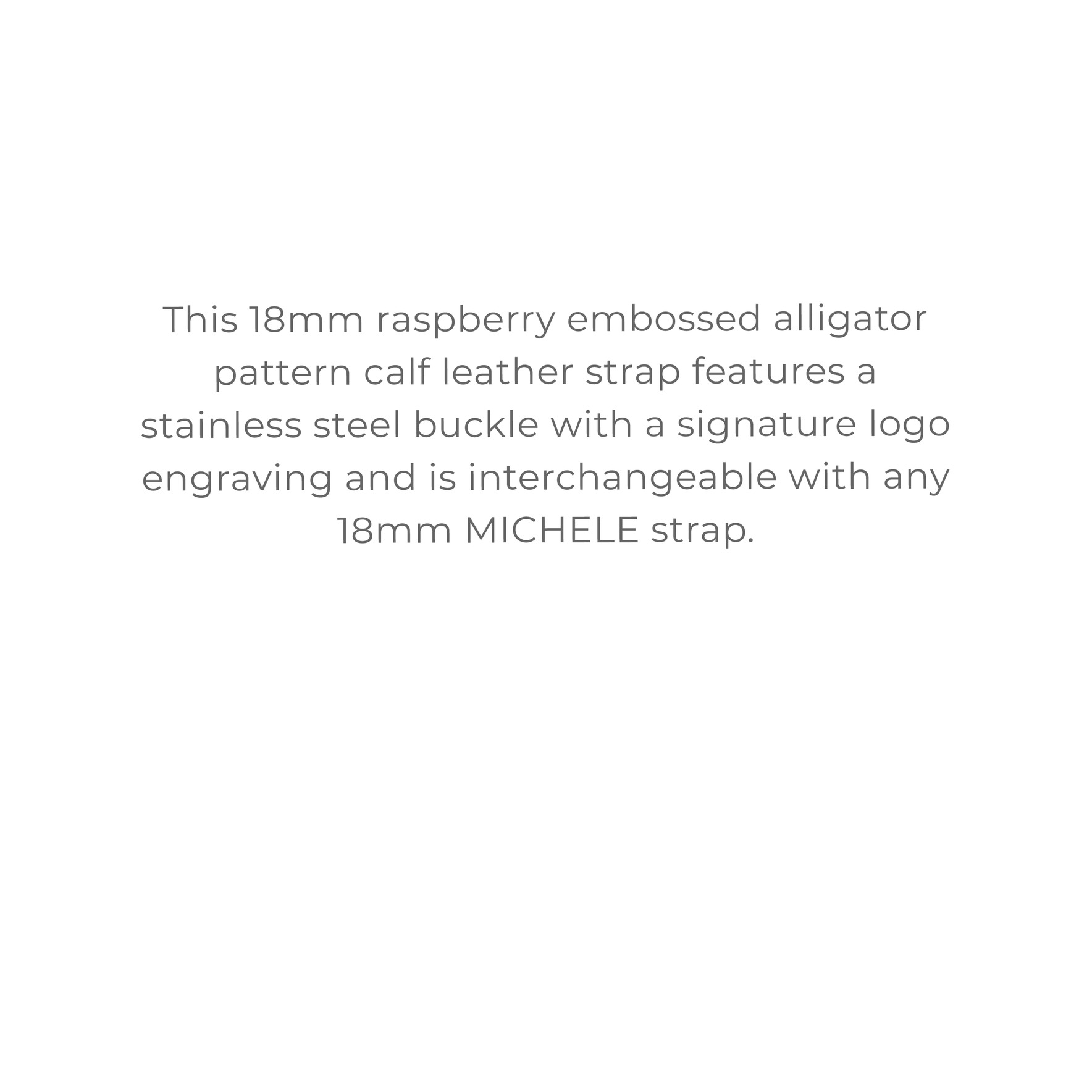 MICHELE STRAPS