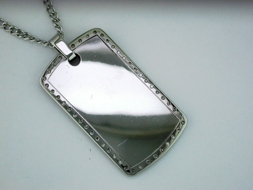 STAINLESS STEEL & DIA PENDANT