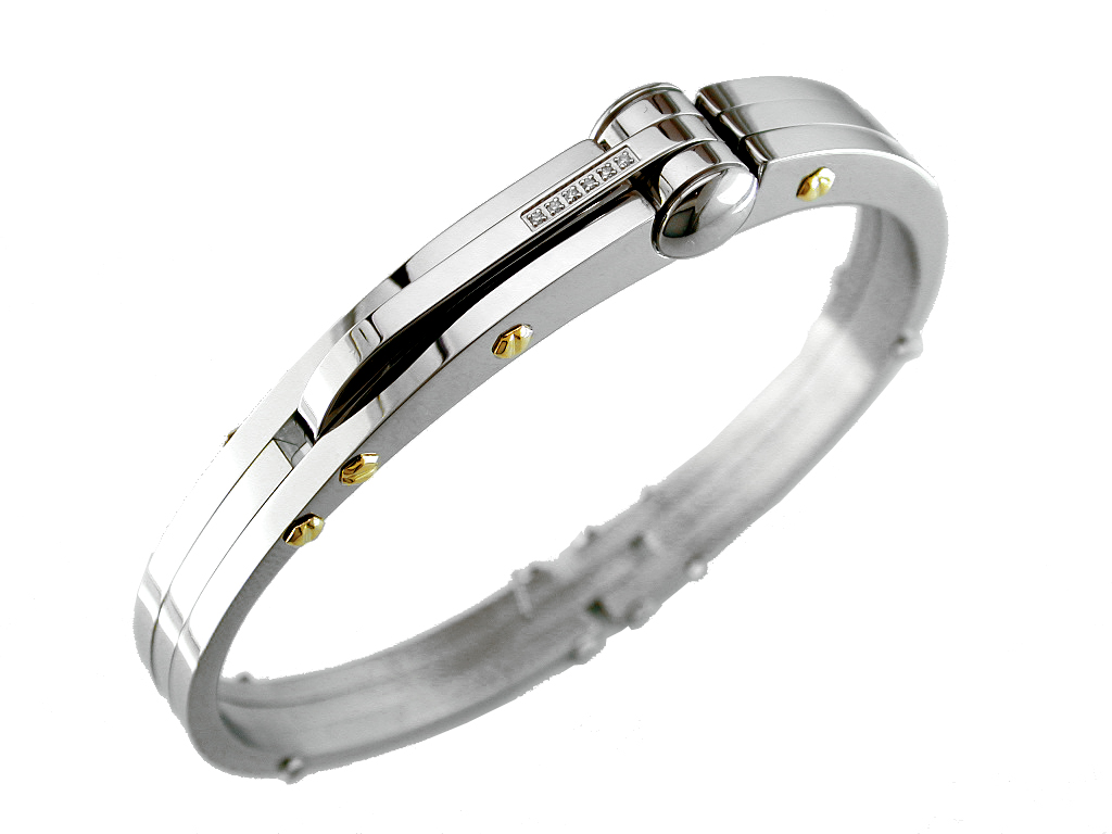 STAINLESS STEEL & 14K BANGLE