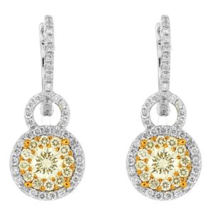 YELLOW DIA & DIAMOND EARRING