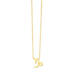 14K Gold Capricorn Necklace