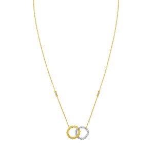 14K TT Interlocking Necklace