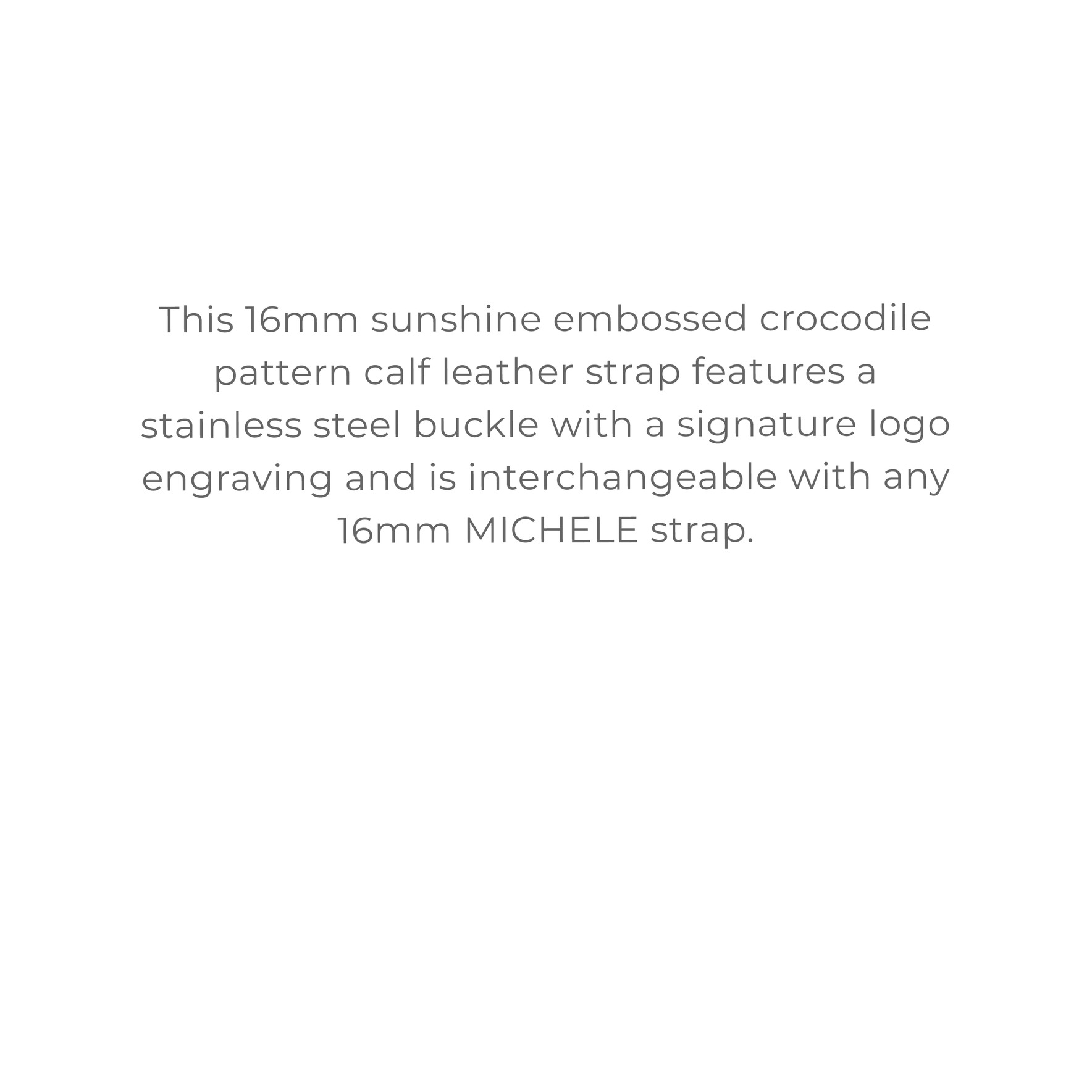 MICHELE STRAPS
