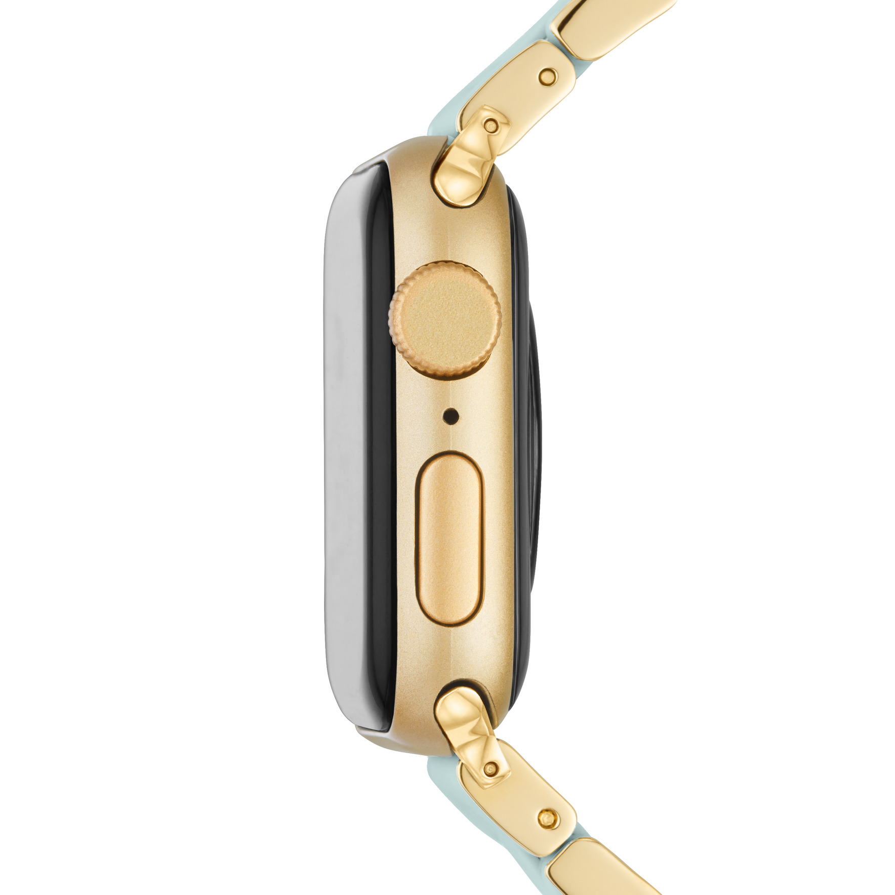 MICHELE STRAPS