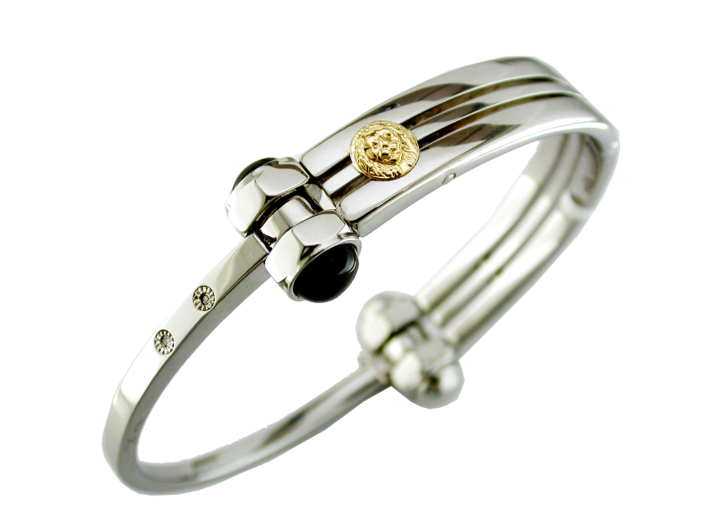 STAINLESS STEEL & 14K BANGLE
