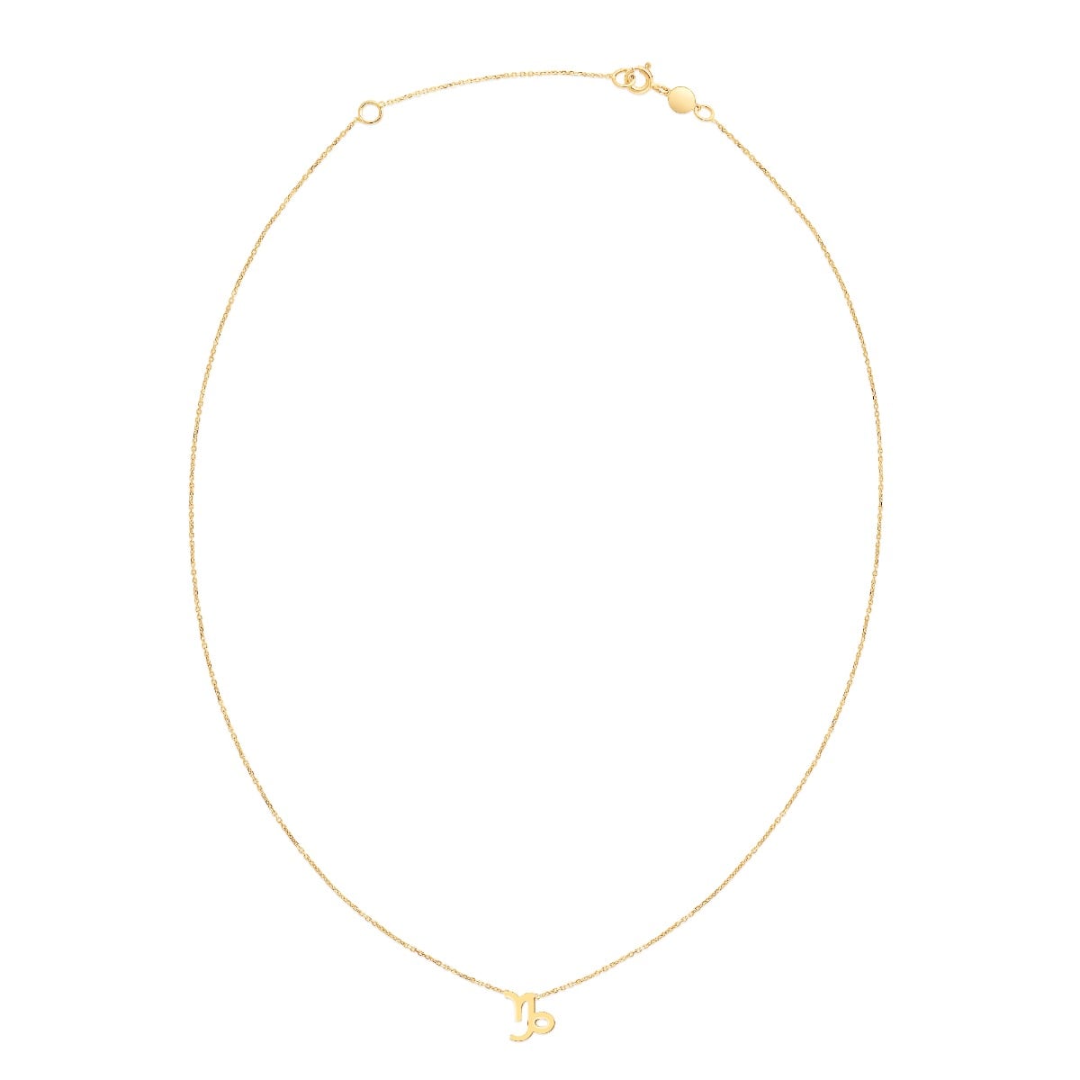 14K Gold Capricorn Necklace
